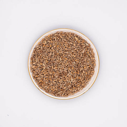 Organic Wheat